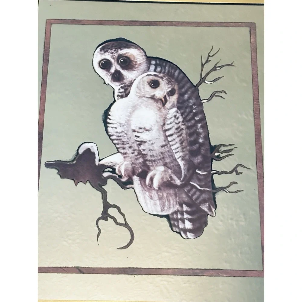 Vintage Snowy Owl‎ Wall Mirror Brytone 2D Etched Glass Art Retro MCM